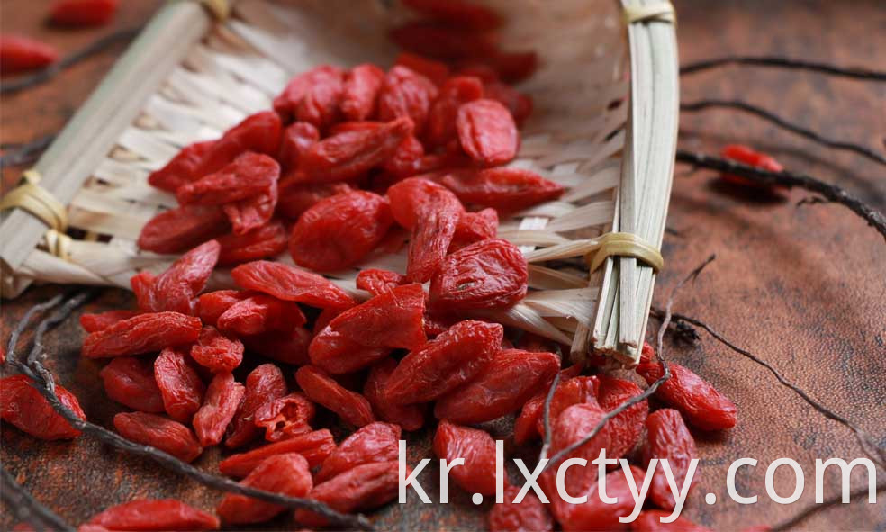 dried goji berries fruit